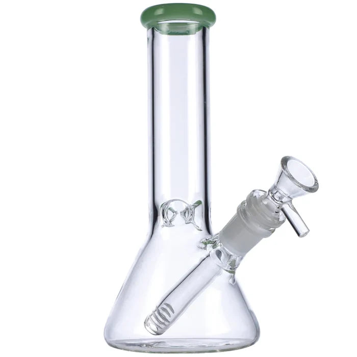 8" Mini Beaker w/ Color Lip