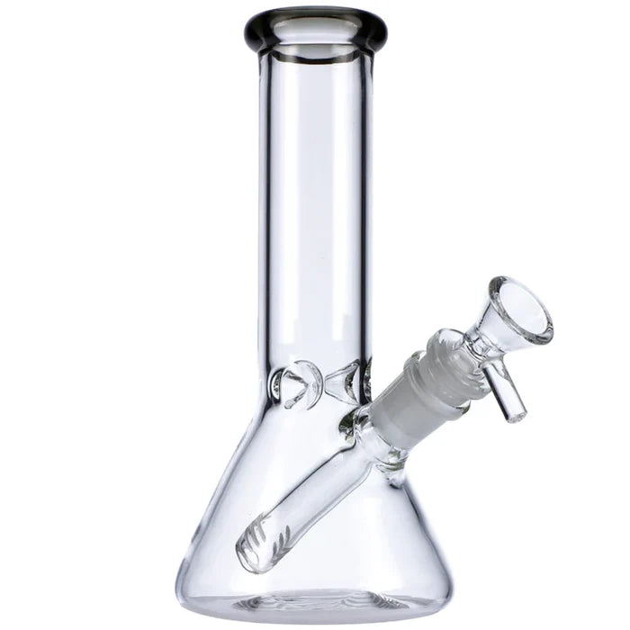 8" Mini Beaker w/ Color Lip
