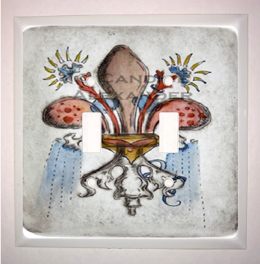 Double Switch Plate