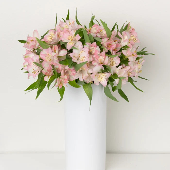 Baby Pink Peruvian Lilies Other - Image