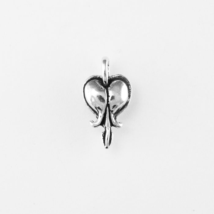 Bleeding Heart, Sm