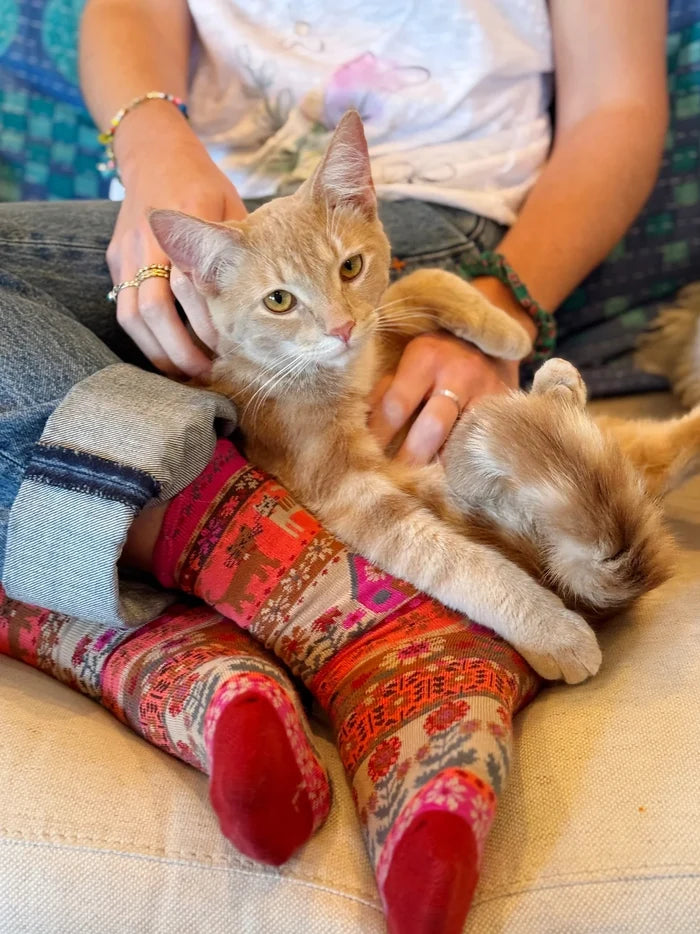 Boxed Boho Sock Set, Set of 3 - Cat