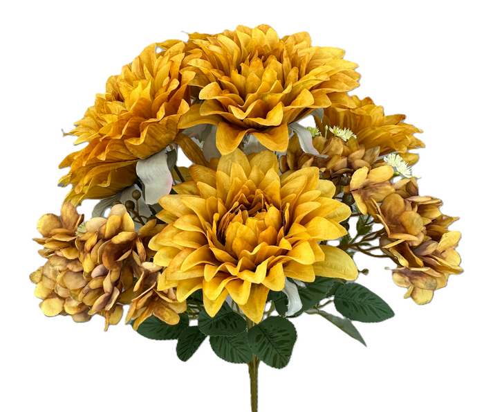 Dahlia Hydrangea Bush