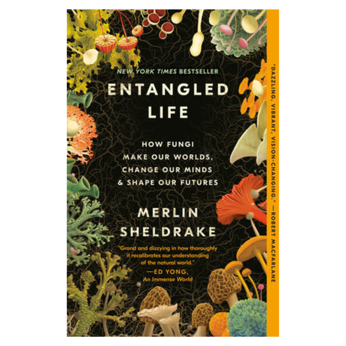 Entangled Life