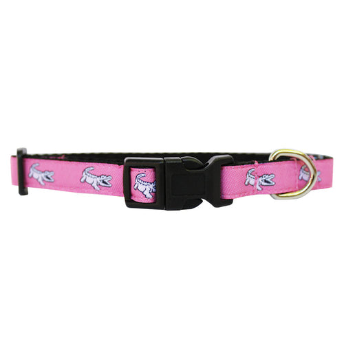 Extra Small NOLAgator Dog Collar