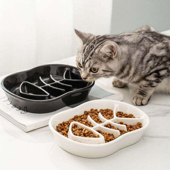 Gadget Gerbil Fish Bone Shaped Slow Feeder Pet Bowl