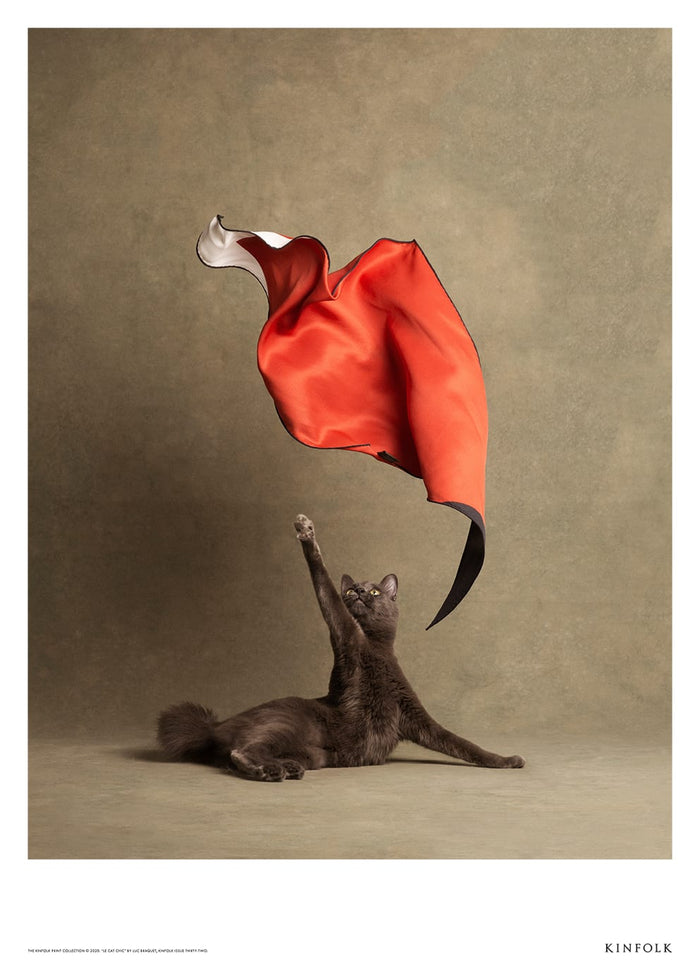 Le Chat Chic by Kinfolk