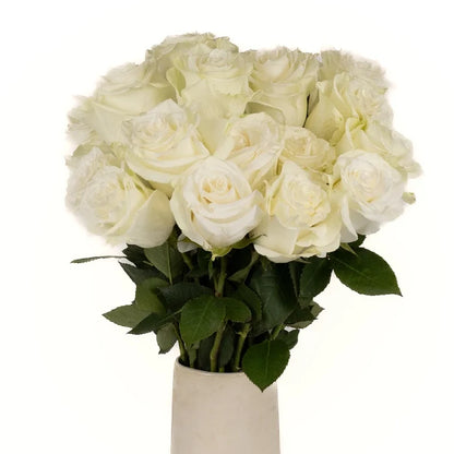 Mia Vase - Image
