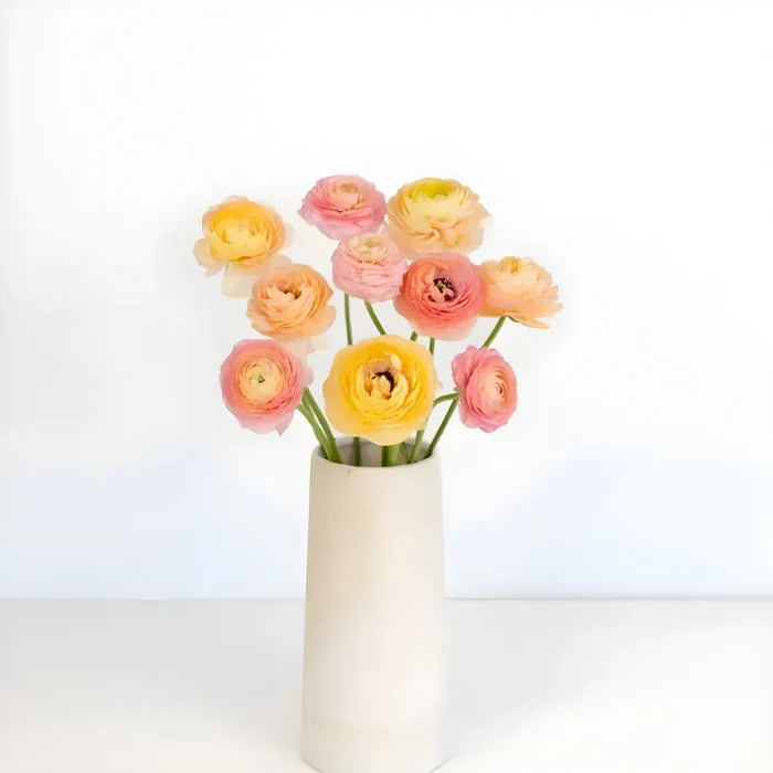 Peach Ranunculus Stem - Image
