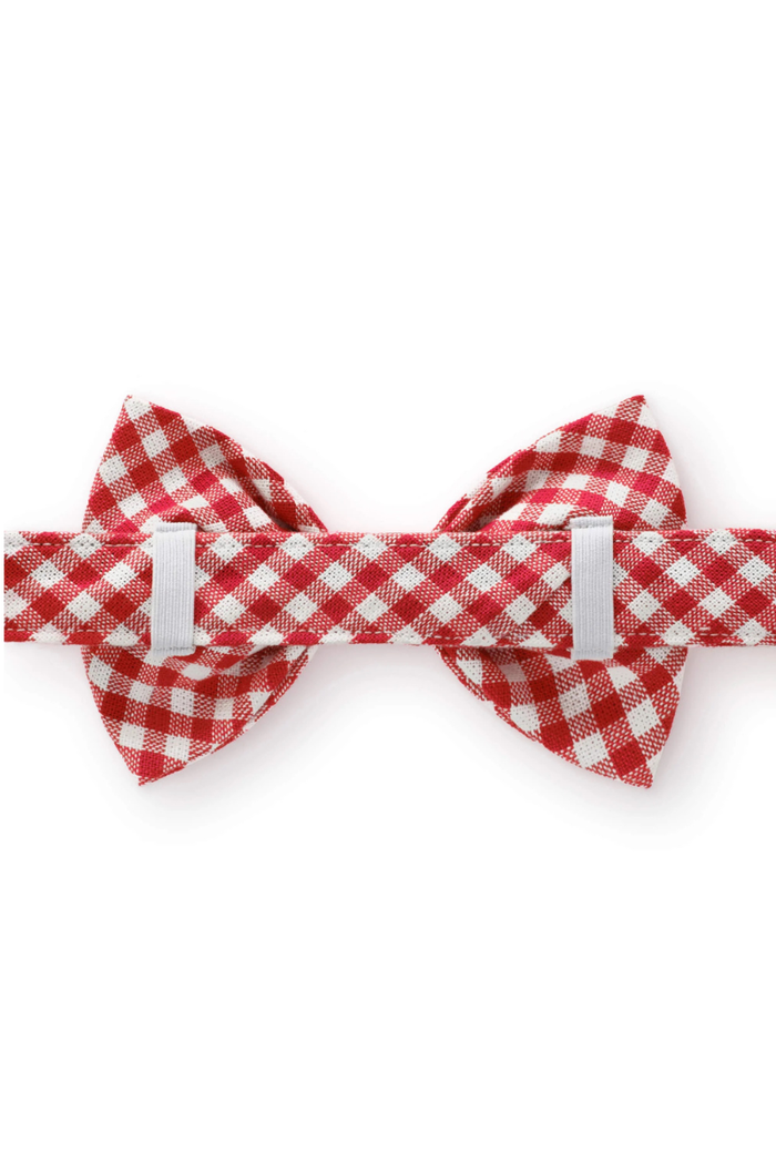 Red Gingham Dog Bow Tie - FINAL SALE