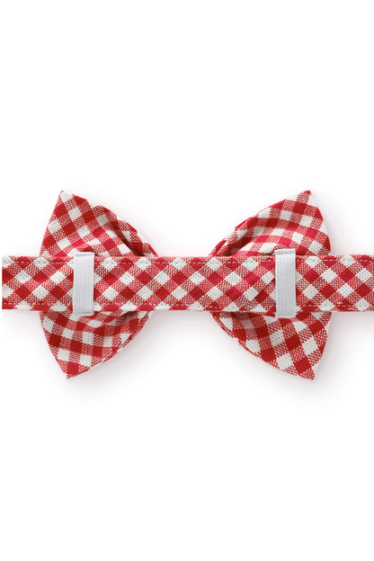 Red Gingham Dog Bow Tie - FINAL SALE