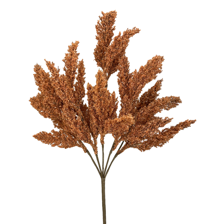 Rust Feather Reed Bush