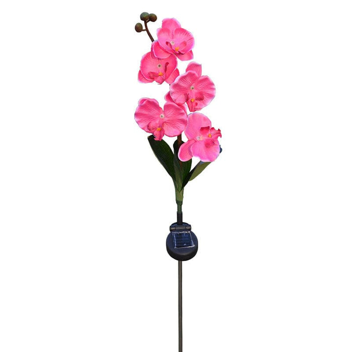 Gadget Gerbil Solar Powered LED Moth Orchid Lights