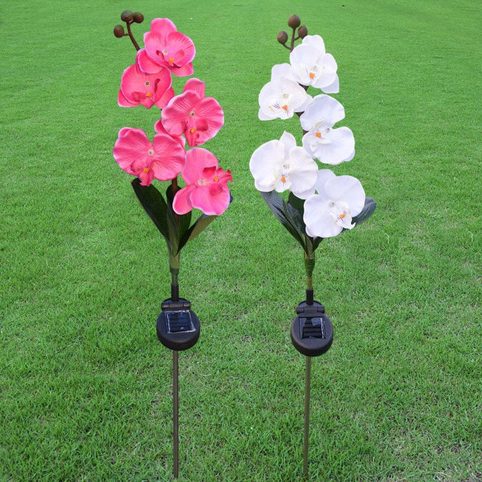 Gadget Gerbil Solar Powered LED Moth Orchid Lights