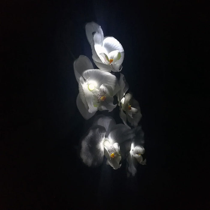 Gadget Gerbil Solar Powered LED Moth Orchid Lights