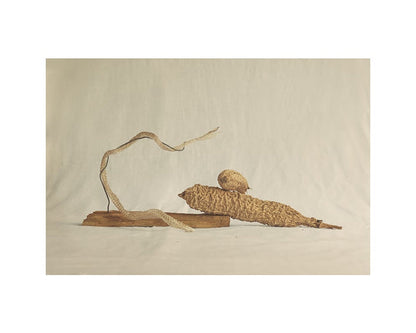 Zambezi River by Alium Gallery